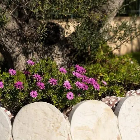 Gustav Retreat Goumeika