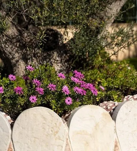 Gustav Retreat Goumeika